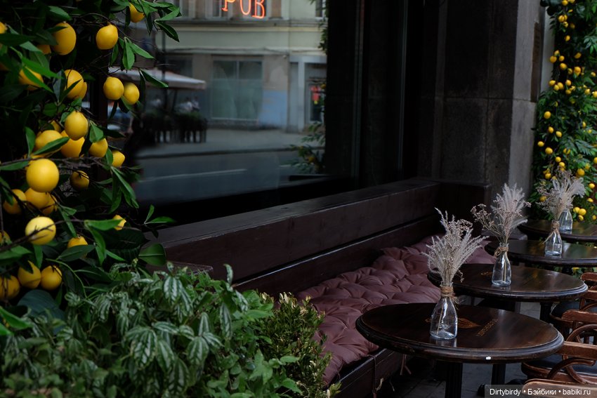 💛Медовый месяц итальянцев в России💛