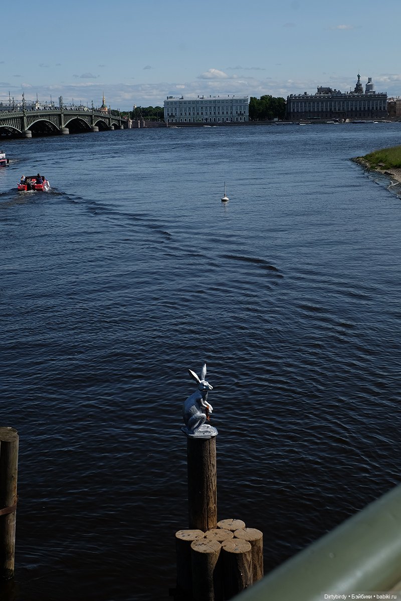 Придурства в Летнем саду или из этого угря суши не сделаешь