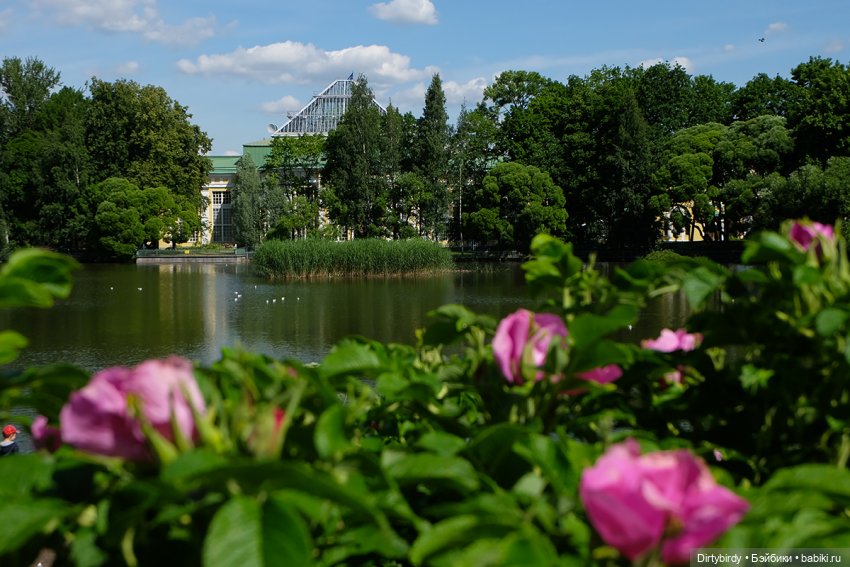 Таврический сад, Смольный и другие царские развлечения общажных придурков в Петербурге (фото 5)