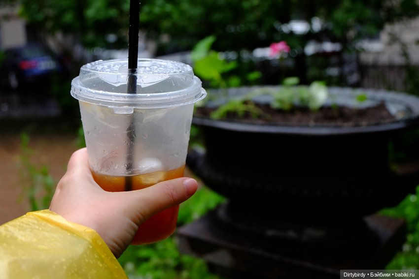 Феликс Обитсу исследует Петербург. 🌧 Сад Сен - Жермен.⛲🌳