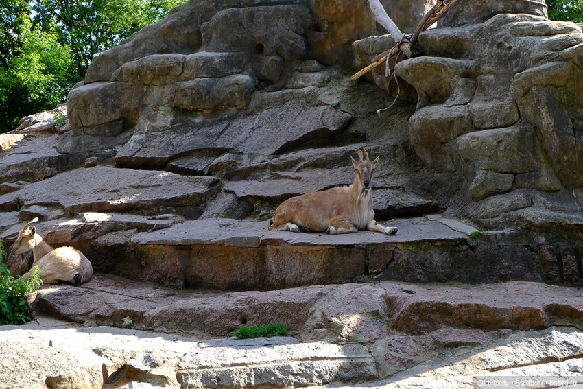 Отель смерть & завтрак. 26 серия