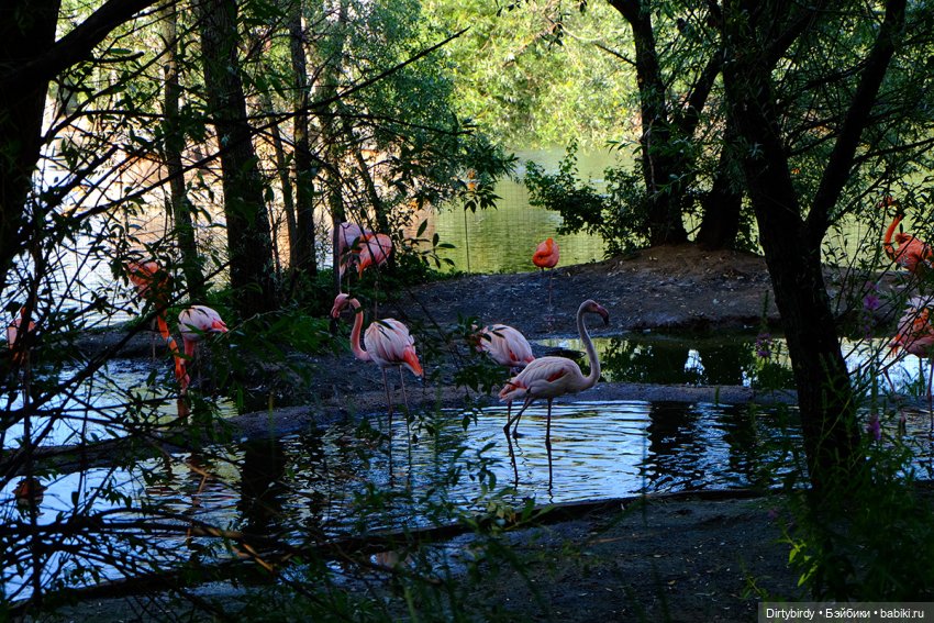 Отель смерть & завтрак. 26 серия