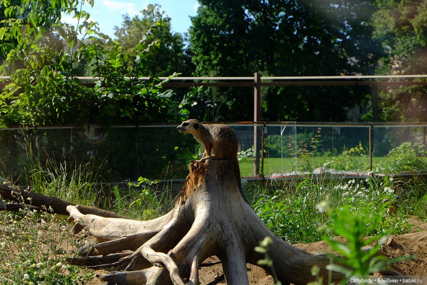 Отель смерть & завтрак. 26 серия (фото 10)