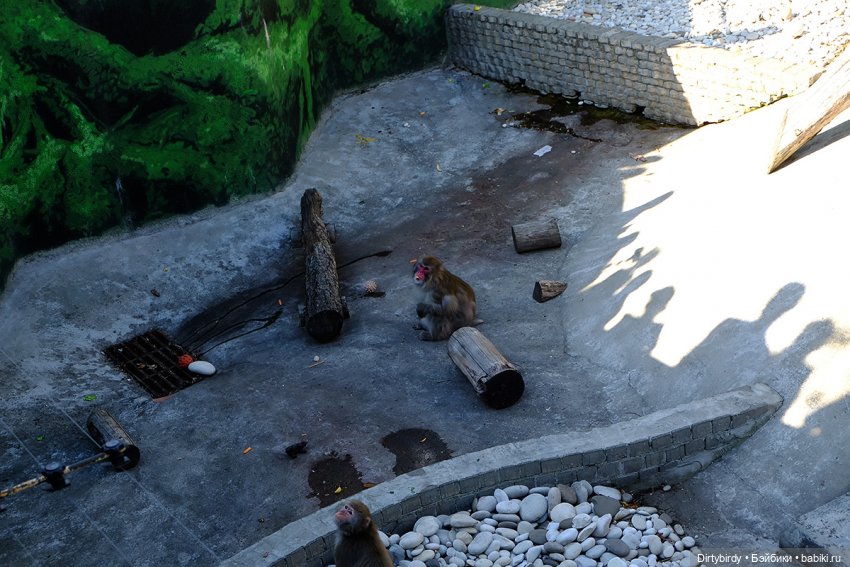 Отель смерть & завтрак. 26 серия