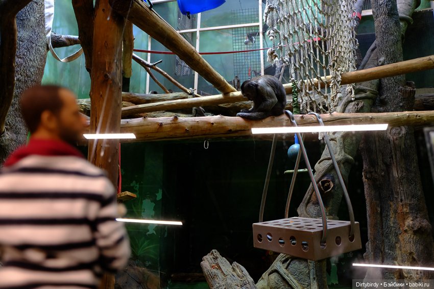 Отель смерть & завтрак. 26 серия