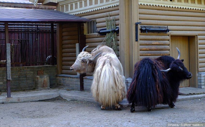 Отель смерть & завтрак. 26 серия