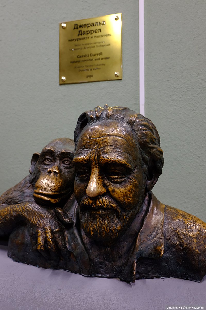 Отель смерть & завтрак. 26 серия