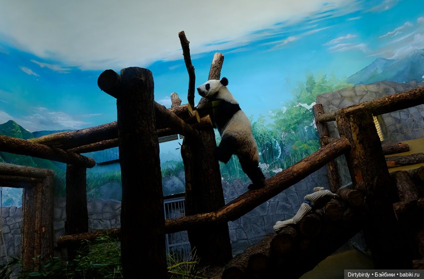 Отель смерть & завтрак. 26 серия