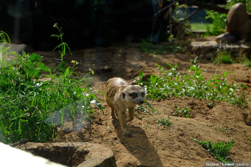 Отель смерть & завтрак. 26 серия (фото 8)