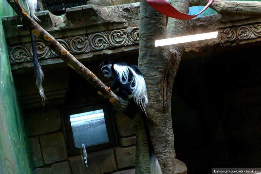 Отель смерть & завтрак. 26 серия