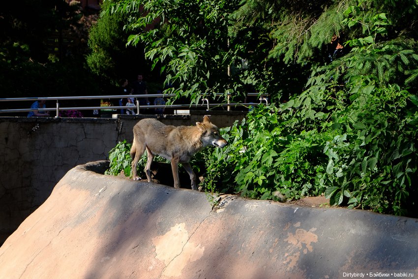 Отель смерть & завтрак. 26 серия