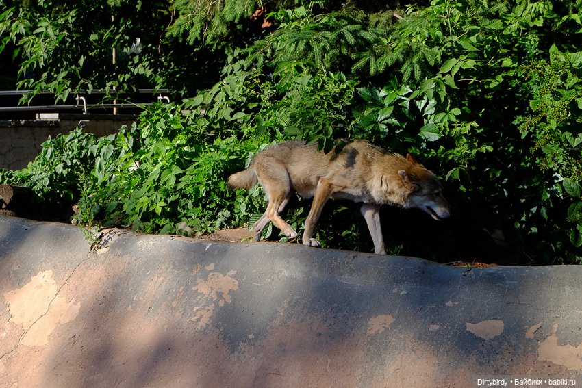 Отель смерть & завтрак. 26 серия