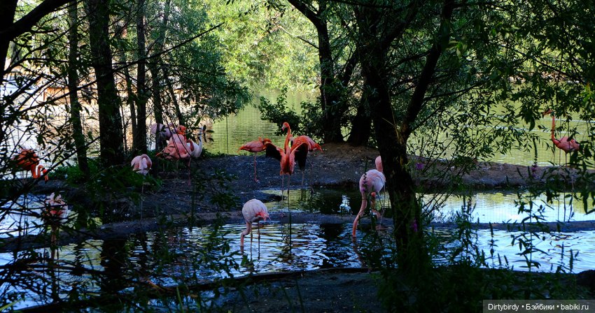 Отель смерть & завтрак. 26 серия