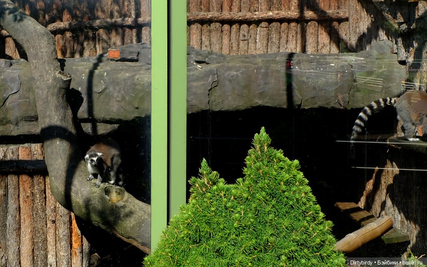 Отель смерть & завтрак. 26 серия