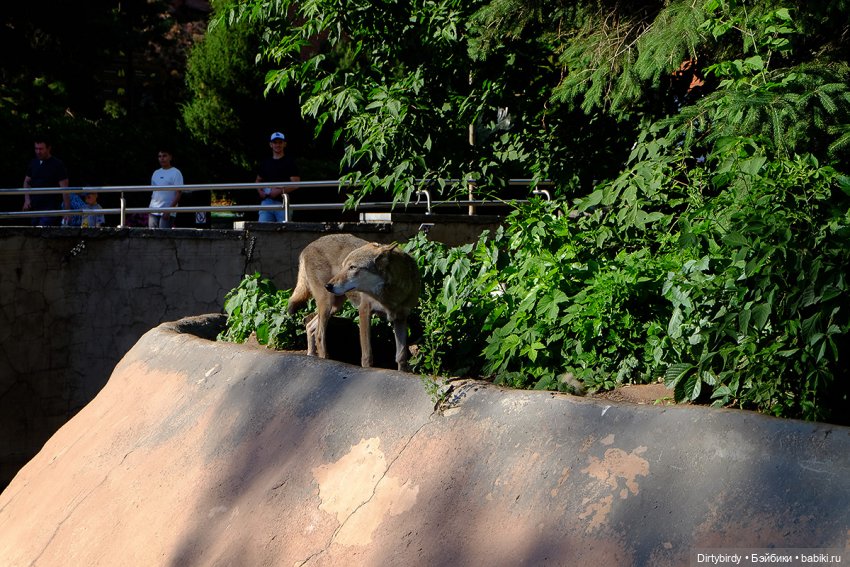 Отель смерть & завтрак. 26 серия