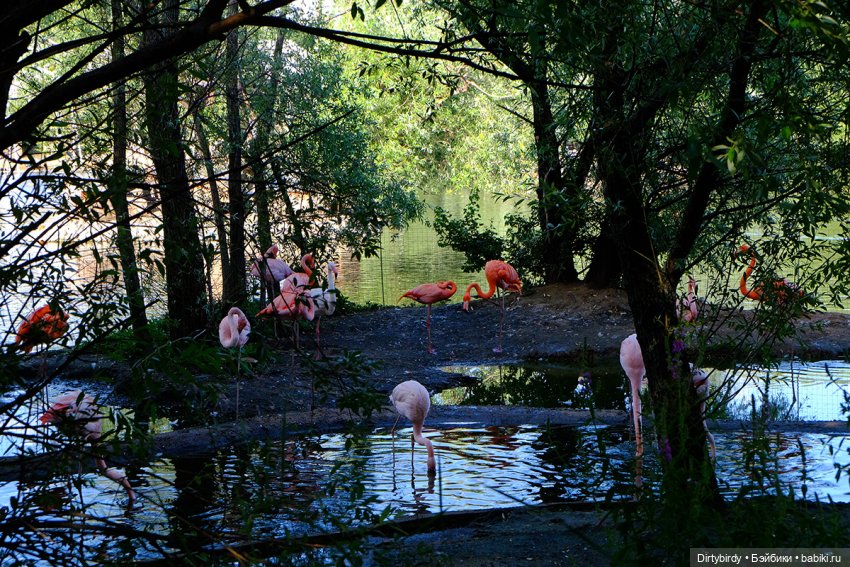 Отель смерть & завтрак. 26 серия