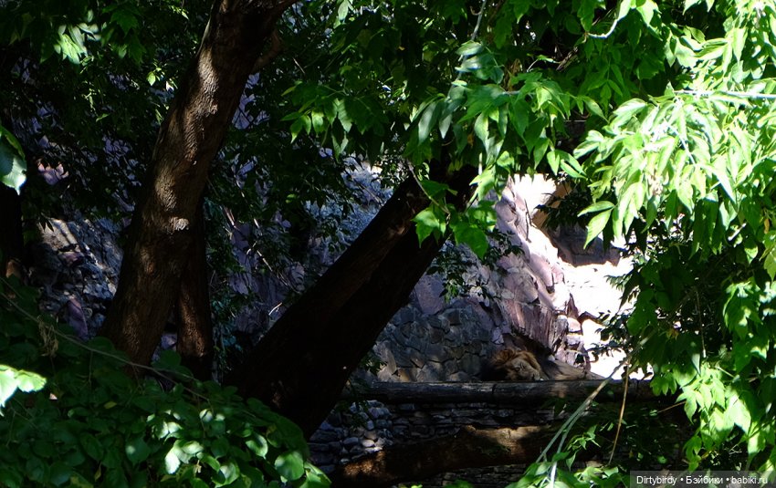 Отель смерть & завтрак. 26 серия (фото 7)