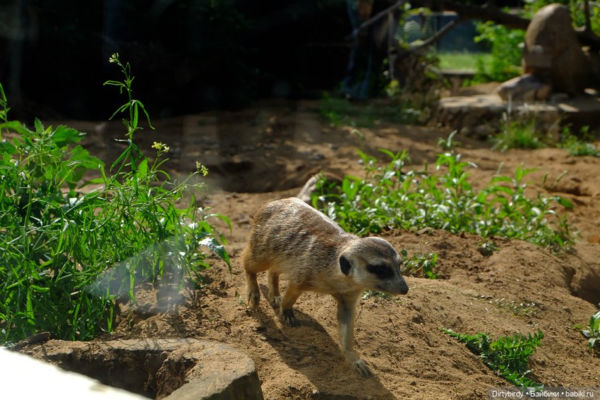 Отель смерть & завтрак. 26 серия (фото 9)