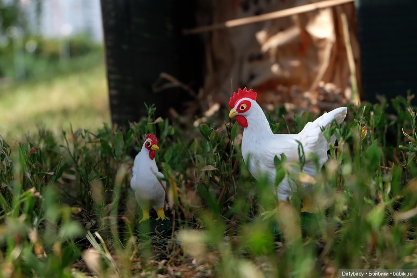 Как снимался детектив Отель смерть & завтрак. Закулисье этого цирка. 2 часть.🍿🎪
