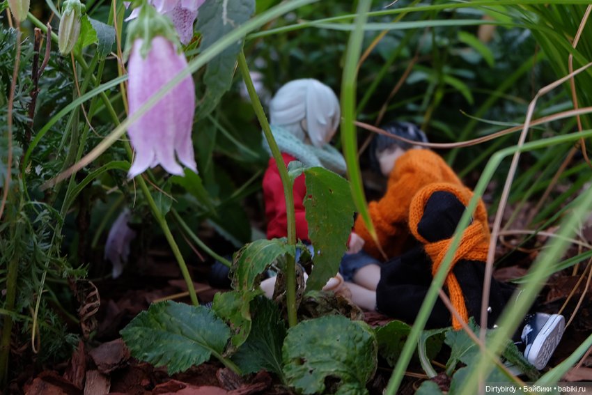 Контент из ничего🧡🍹🍪🍩 — Куклы Simontoys и Come4Free (Blind Box): Teennar