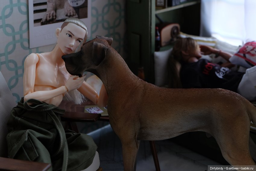 Кофе с молоком. 8 серия. Долгожданное новоселье