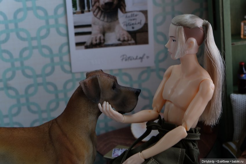 Кофе с молоком. 8 серия. Долгожданное новоселье