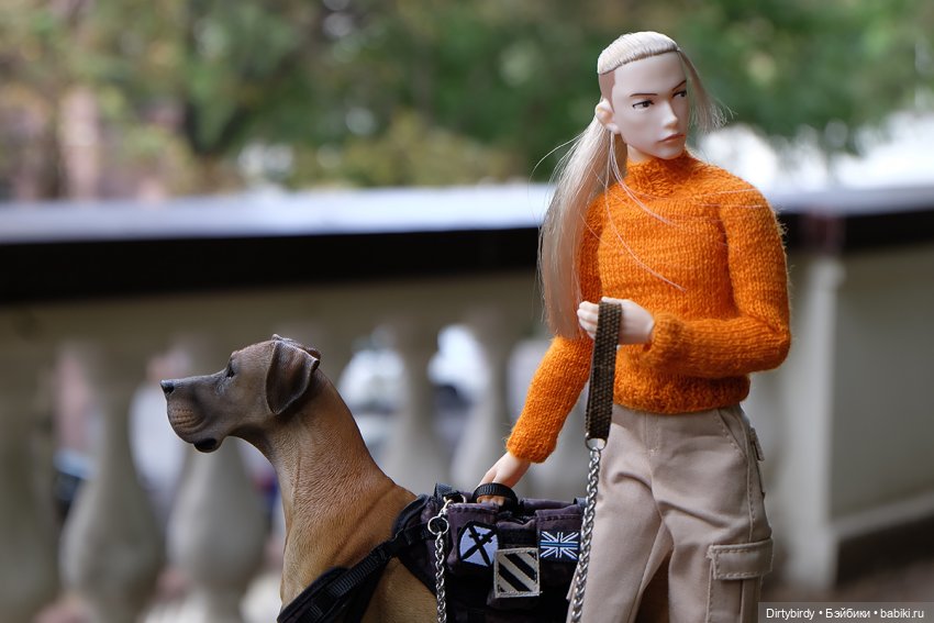 Осенние портреты🍁🍂🧡 — Куклы Momoko и Ruruko (Petworks