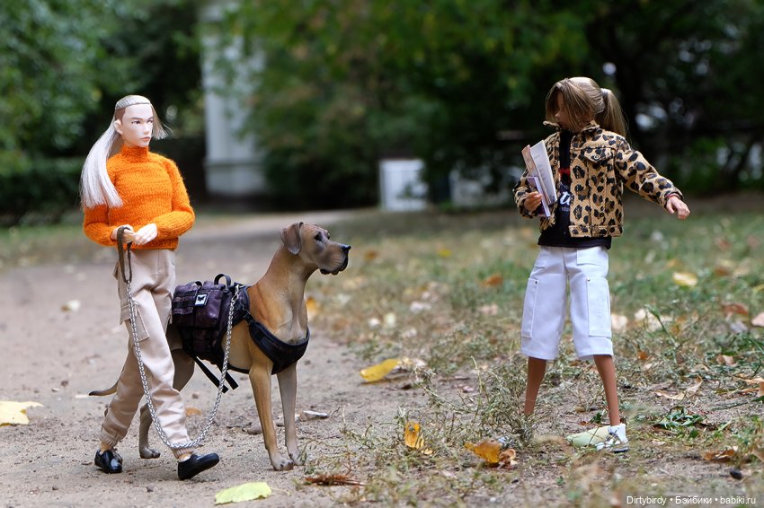 Осенние портреты🍁🍂🧡 — Куклы Momoko и Ruruko (Petworks