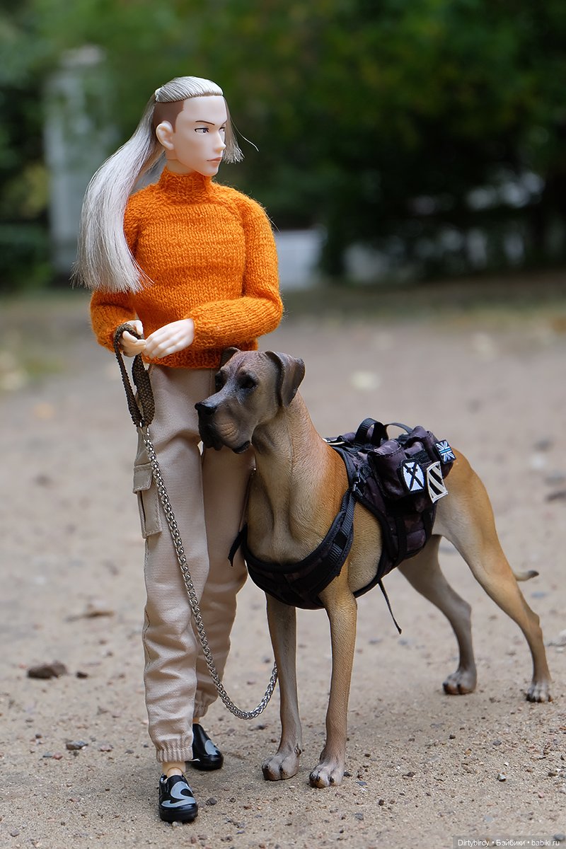 Осенние портреты🍁🍂🧡 — Куклы Momoko и Ruruko (Petworks (фото 5)