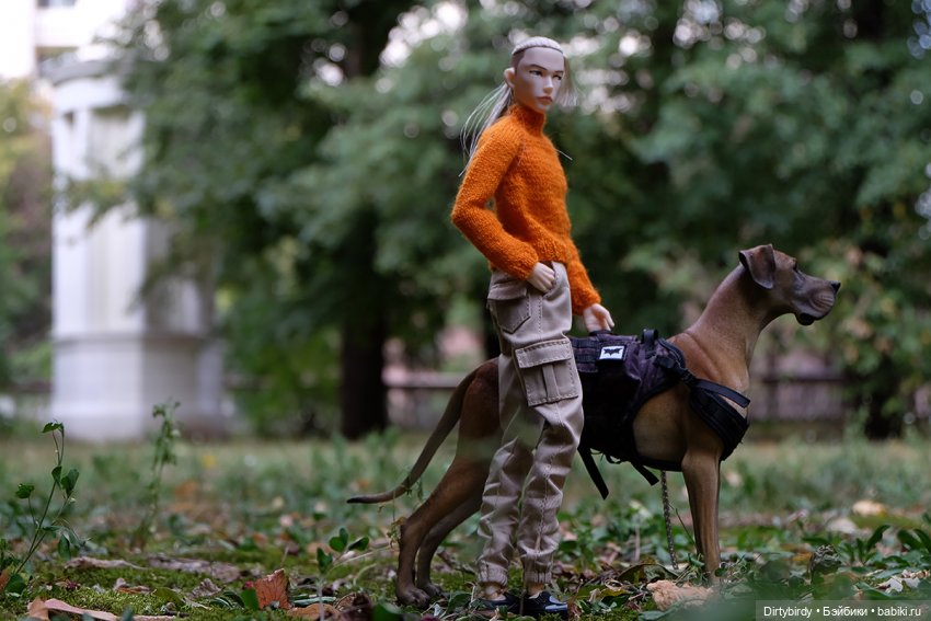 Осенние портреты🍁🍂🧡 — Куклы Momoko и Ruruko (Petworks (фото 2)