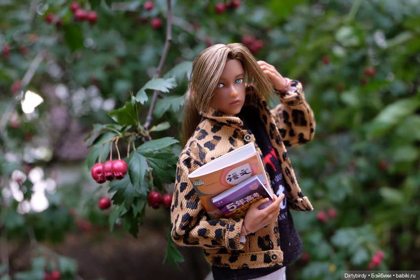 Осенние портреты🍁🍂🧡 — Куклы Momoko и Ruruko (Petworks (фото 8)