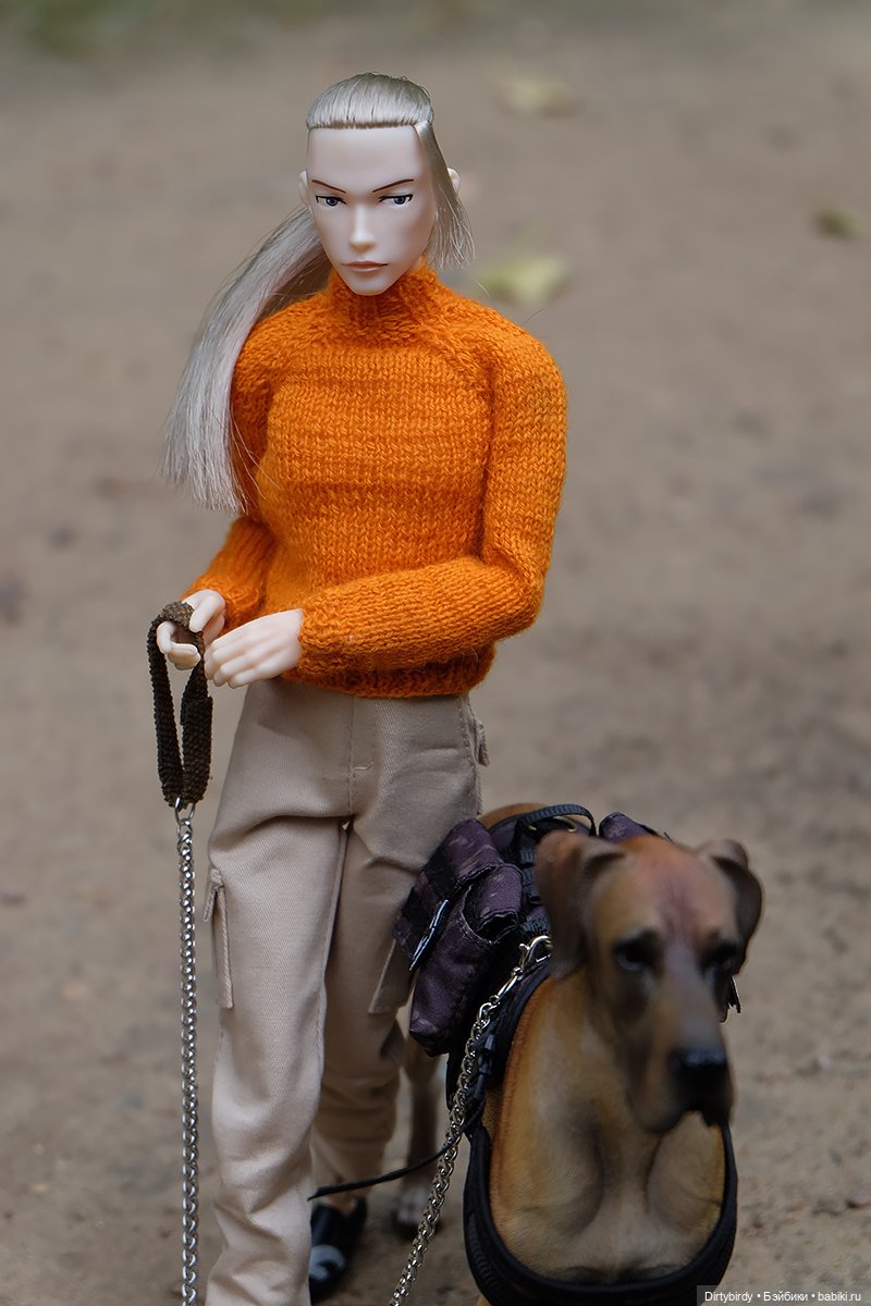 Осенние портреты🍁🍂🧡 — Куклы Momoko и Ruruko (Petworks (фото 3)