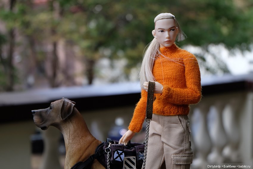 Осенние портреты🍁🍂🧡 — Куклы Momoko и Ruruko (Petworks (фото 10)