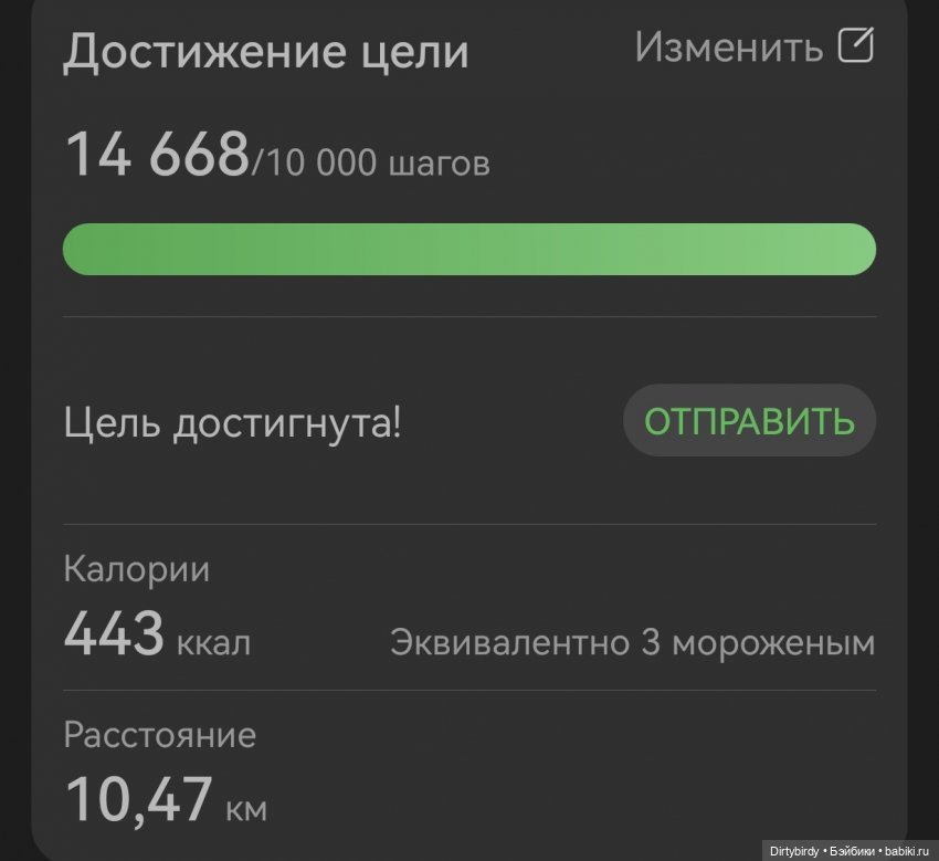 Тихая осенняя прогулка "по-стариковски" на 10 км с мадам Янг🍁🍂🌲