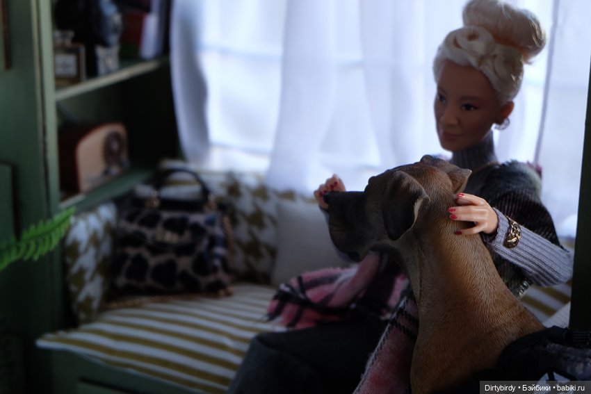 В такую погоду хороший хозяин (фото 6)