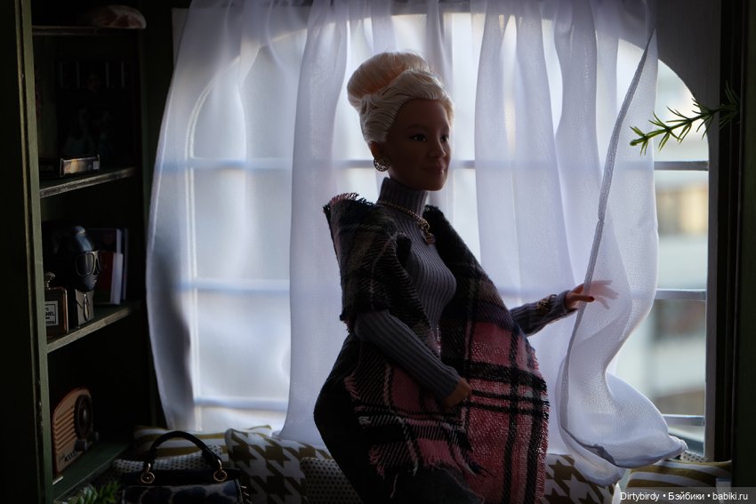 В такую погоду хороший хозяин (фото 3)