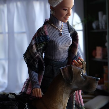 В такую погоду хороший хозяин...