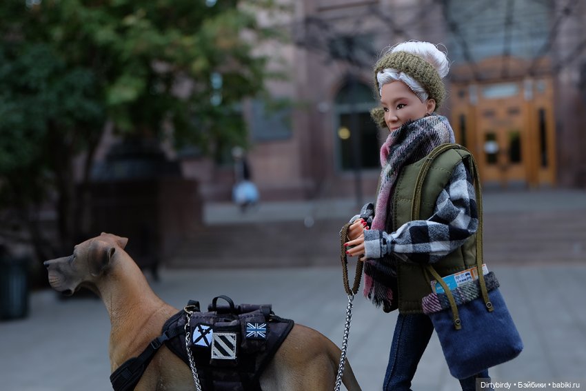Осень в Москве. Прогулка с собакой у высотки на Котельнической.🍁🍂🐕🏙 (фото 5)