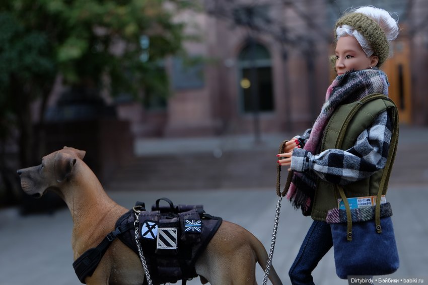 Осень в Москве. Прогулка с собакой у высотки на Котельнической.🍁🍂🐕🏙 (фото 4)