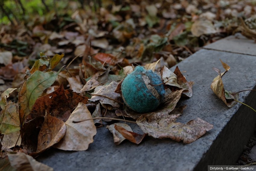 Осень в Москве. Прогулка с собакой у высотки на Котельнической.🍁🍂🐕🏙