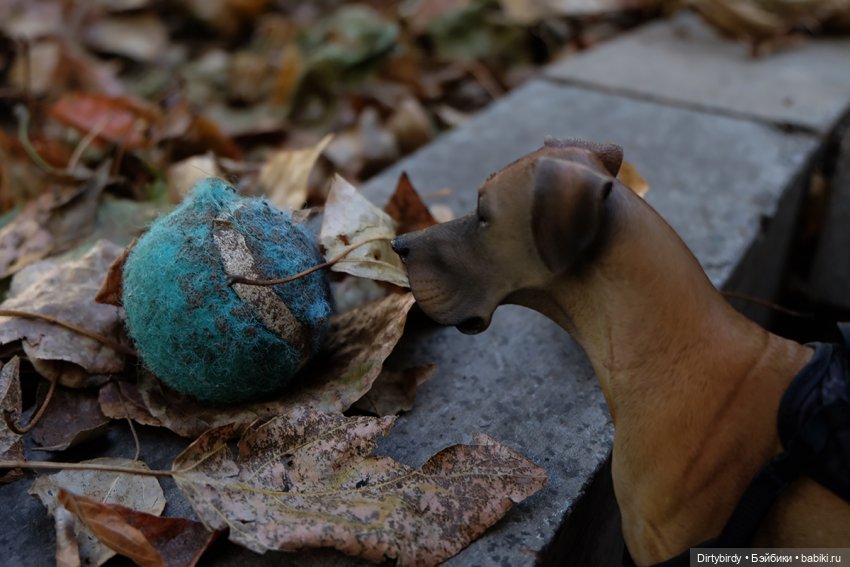 Осень в Москве. Прогулка с собакой у высотки на Котельнической.🍁🍂🐕🏙