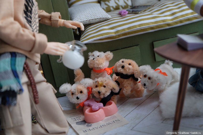 Кофе с молоком. 10 серия. А сочинение сгрызли щенки🤞🏻🤞🏻 (фото 2)