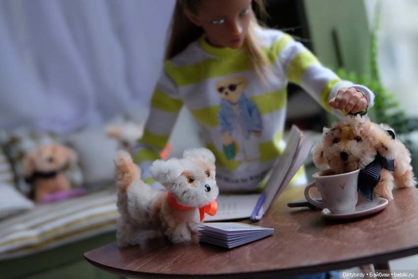 Кофе с молоком. 10 серия. А сочинение сгрызли щенки🤞🏻🤞🏻 (фото 7)