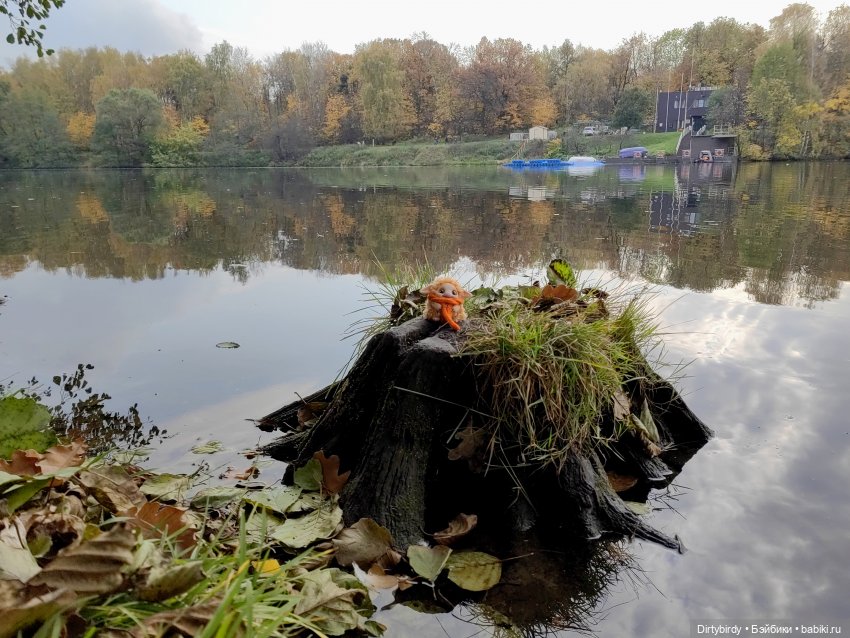 Кто там воет на болотах — Домашние фото авторских игрушек: Тедди