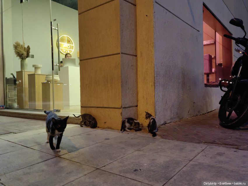 Я согласен купаться только в свете софитов