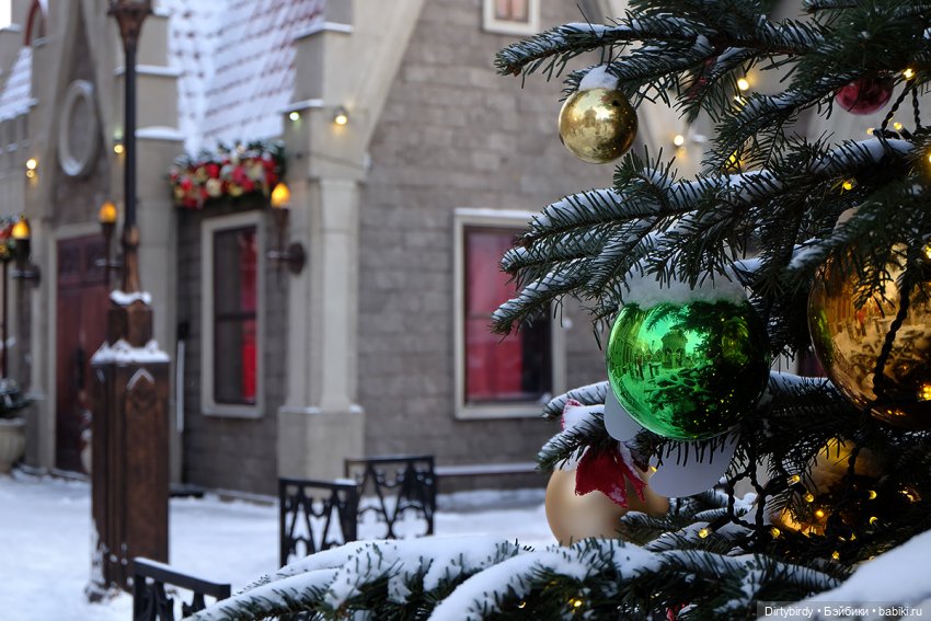 Новогодние забавы наших пушистых монстриков🎄🍬🎠🍿 (фото 9)