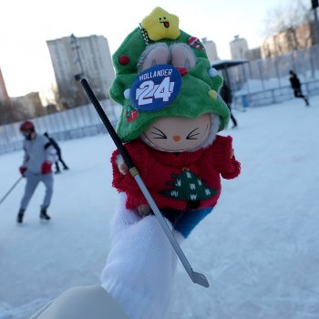 Звездуны на льду