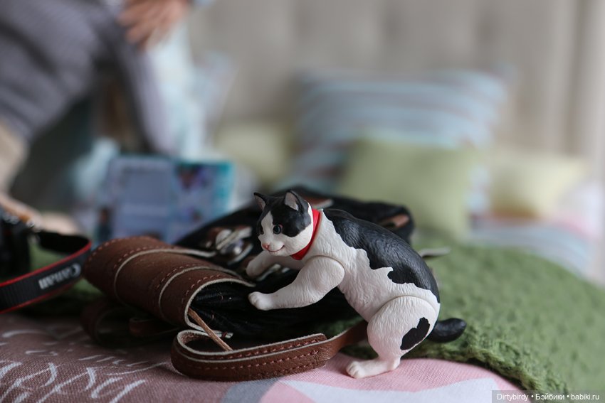 Кофе с молоком. 17 серия — Куклы Momoko и Ruruko (Petworks (фото 6)