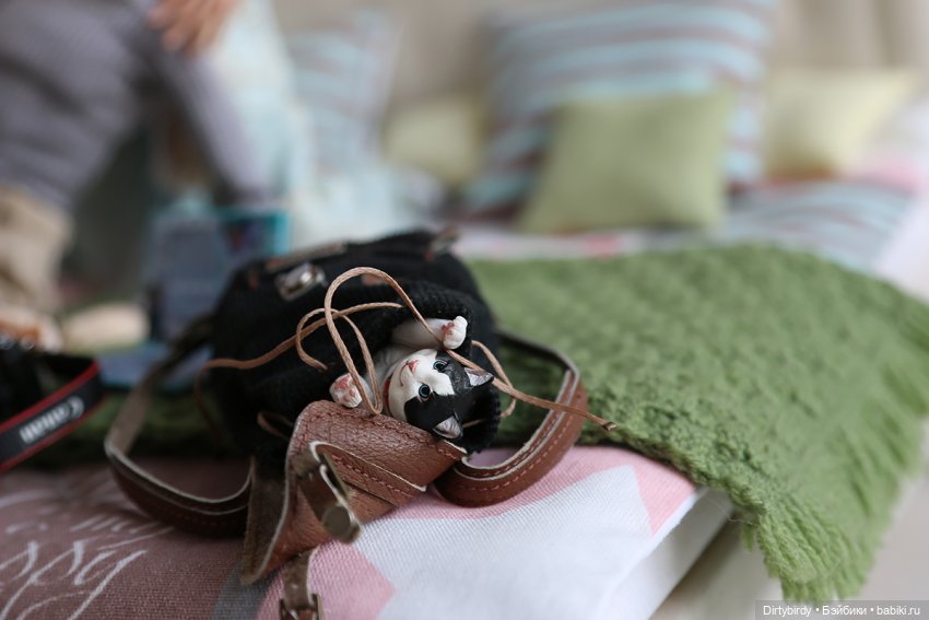 Кофе с молоком. 17 серия — Куклы Momoko и Ruruko (Petworks (фото 7)