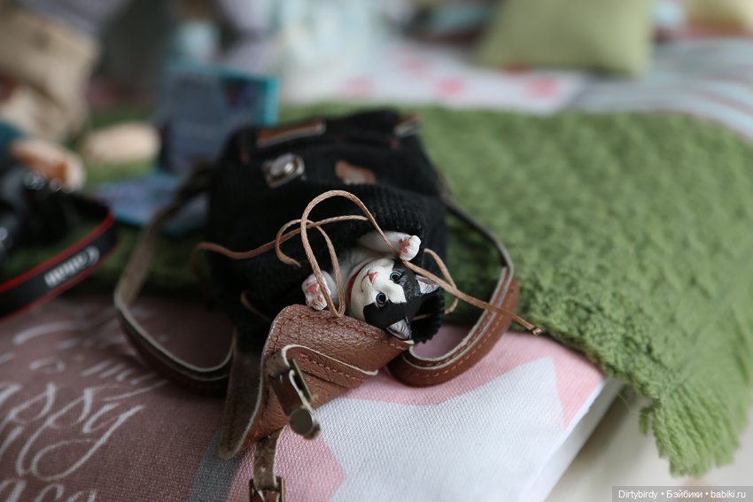 Кофе с молоком. 17 серия — Куклы Momoko и Ruruko (Petworks (фото 8)